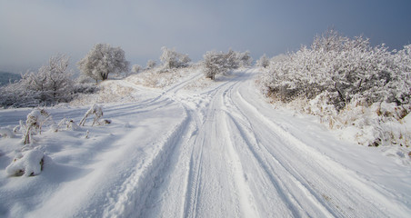 Fototapeta na wymiar snowy road with trees at sunset, white winter landscape