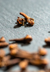 Dried Cloves on dark stone background. Natural hard light. Spice cloves close-up shot.