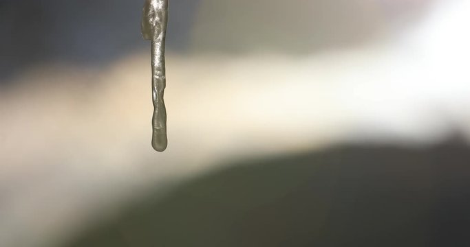 icicle close up