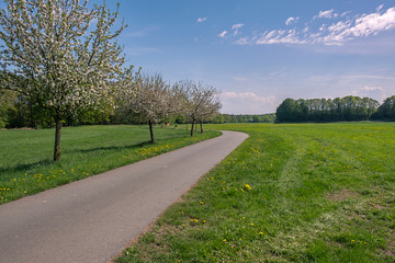 Fototapeta na wymiar Oder-Neiße-Radweg bei Rothenburg