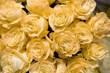 White and pink roses flower bouquet