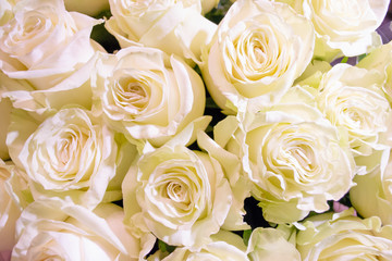 Fototapeta na wymiar White and pink roses flower bouquet