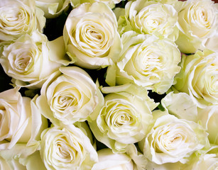 Obraz na płótnie Canvas White and pink roses flower bouquet