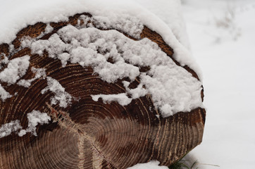 winter wood log and snow