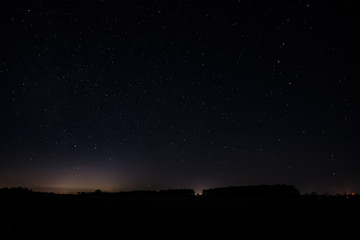 night sky with forest and stars