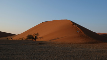Fototapeta na wymiar Düne 45 im Morgengrauen mit Touristen, Sossusvlei, Namibia