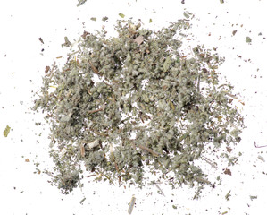 salvia herb on white background isolation, top view