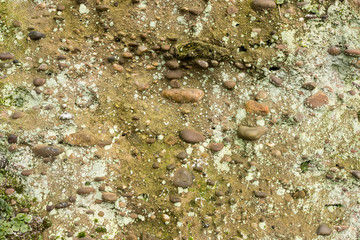 Stones embedded in sedimentary sandstone