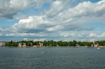 Obraz premium Ocean View Among the Trees