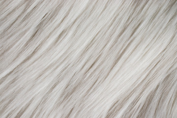White fur diagonal