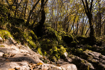 Autumn in Triglav National Park, Tolmin, Slovenia