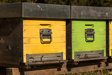 Bee box with bees in autumn in the dolomites