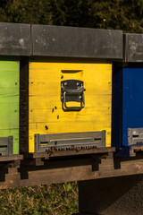 Bee box with bees in autumn in the dolomites
