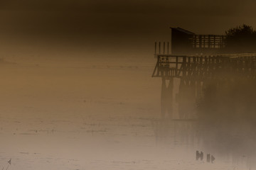 Observation platform at the Federseesteg in germany