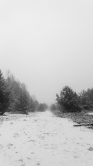 Obraz na płótnie Canvas Winterlandschaft, ein verschneiter Weg umgeben von Wald