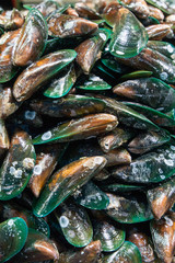 THAILAND PATTAYA MARKET FOOD SEAFOOD