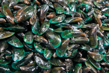 THAILAND PATTAYA MARKET FOOD SEAFOOD