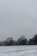 Winter Nebellandschaft im Waldstück