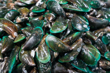 THAILAND PATTAYA MARKET FOOD SEAFOOD