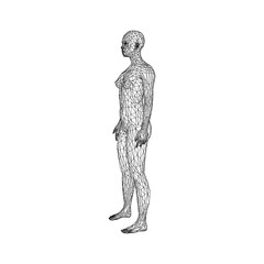 The girl from the polygonal grid. White background.