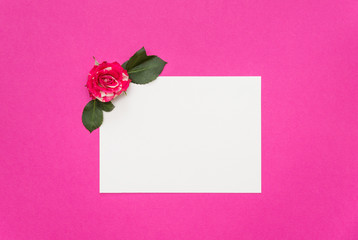 small roses and blank white card on pink background
