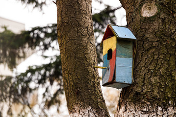 colorful birdhouse on a tree