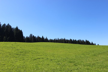Allgäu