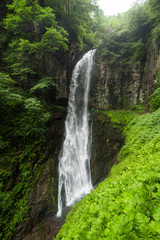 Fototapeta na wymiar waterfall giant Abkhazia
