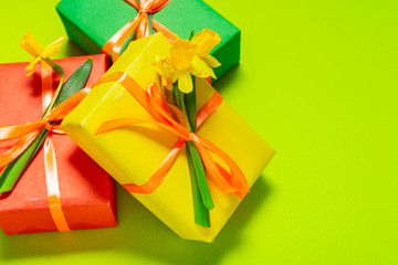 Set of gift boxes with narcissus, spring flowers,