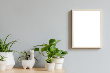 Minimalistic botanical room interior with mock up photo frame on the brown wooden table with beautiful plant in design hipster pot. Grey walls. Stylish and floral concept of mock up poster frame. 