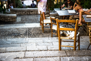 Fototapeta na wymiar Cat sleeps on a chair, Taormina Sicily, little street