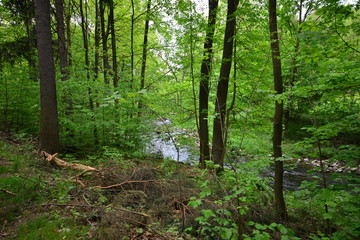 Obraz premium Landschaft Oberlausitz