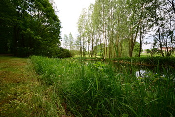 Landschaft Oberlausitz