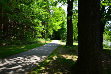 Fototapeta premium Landschaft Oberlausitz