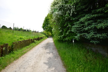 Obraz premium Landschaft Oberlausitz