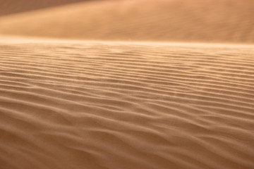 Details of the sandy dunes in the Sahara Desert, Grand Erg Oriental