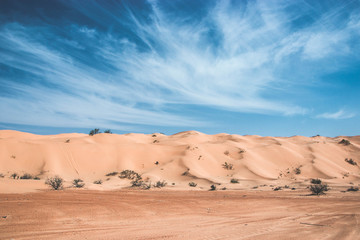 Fototapeta na wymiar Splendid sky in the Sahara Desert, most beaufitul dunes in Africa
