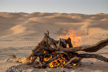 Beautiful day in the Sahara Desert during an adventure trip