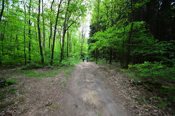 Landschaft Oberlausitz