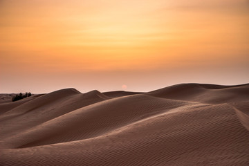 Fototapeta na wymiar Most beautiful sunset in the Sahara Desert, sandy dunes in Tunisia
