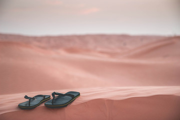 Flip flops in the Sahara desert