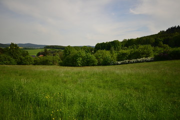 Landschaft Oberlausitz