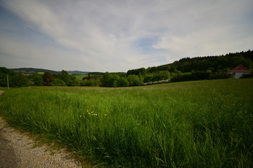 Landschaft Oberlausitz