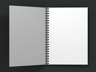Blank notebook on dark background. 3D