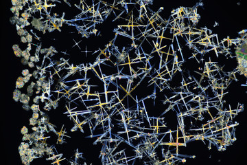 Photo through a microscope of crystals grown from a solution of CuCl in alcohol. Polarized light...
