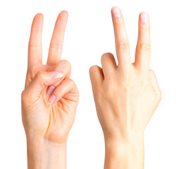 Female hand showing two fingers in the peace symbol