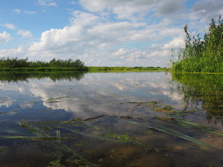 Am Hohennauener See