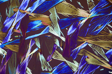 Photo through a microscope of crystals grown from a solution of oxalic acid in alcohol. Polarized light technology.