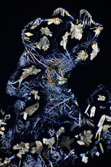 Photo through a microscope of crystals growing from a solution of succinic acid in alcohol....