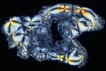 Photo through a microscope of crystals grown from a solution of ascorbic acid in alcohol. Polarized light technology.